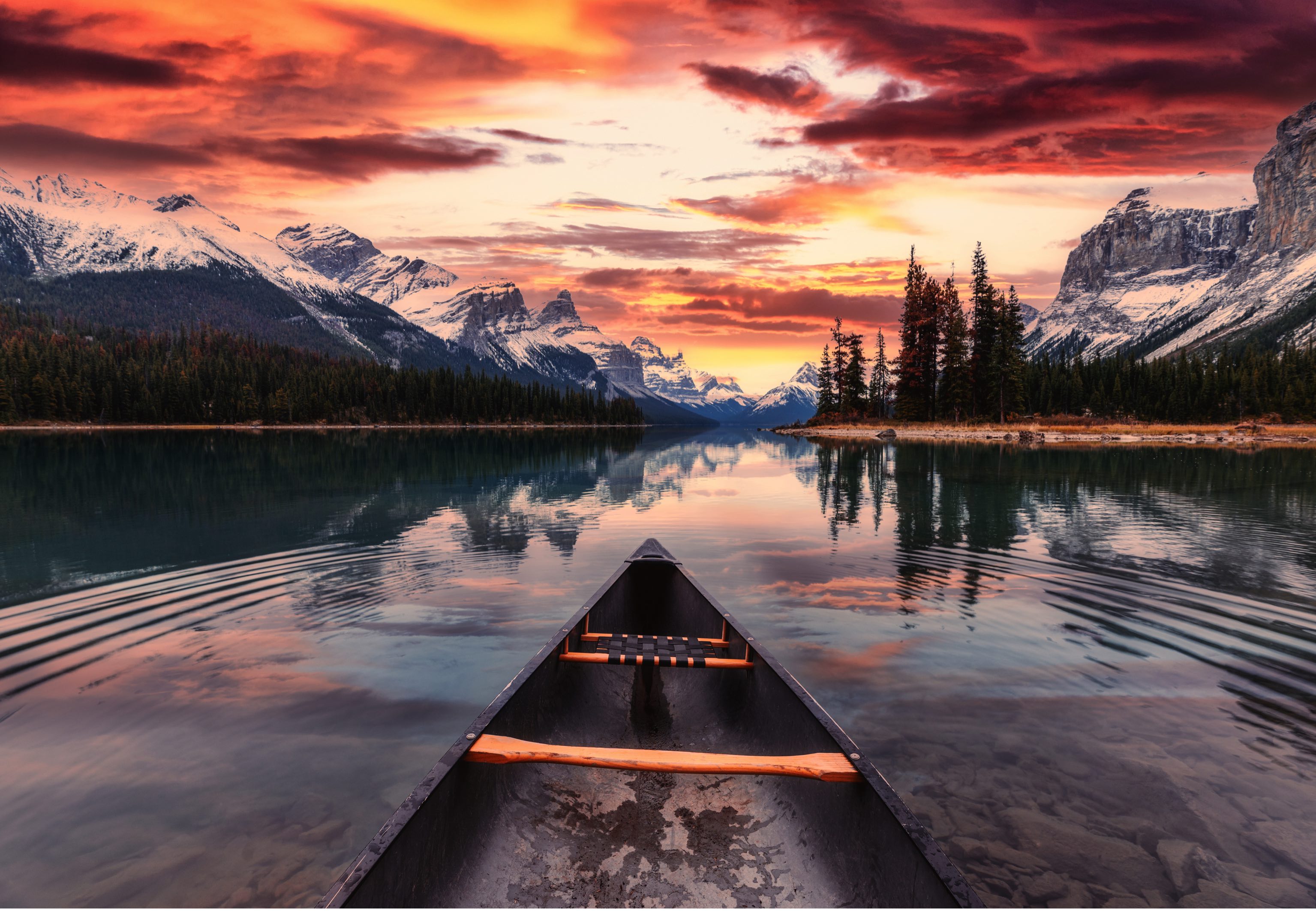 Lac dans le parc Jasper